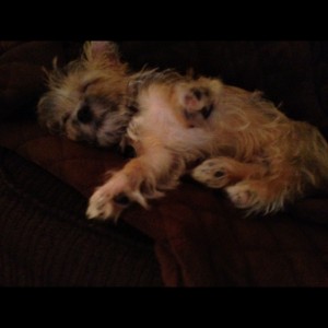 Tucker Tucker