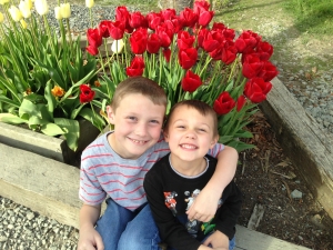 Skagit Tulip Festival