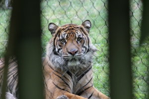 Point Defiance Zoo and Aquarium in Tacoma2