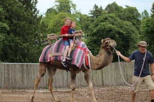 Point Defiance Zoo and Aquarium in Tacoma